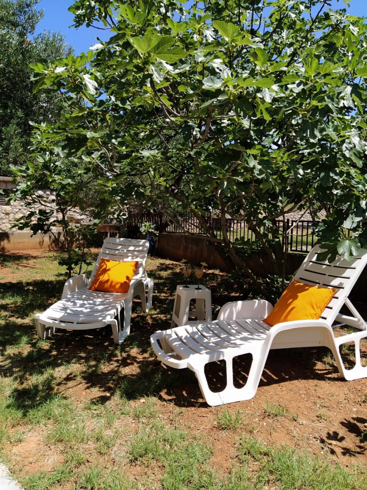 Apartment Savic Starigrad Paklenica Extérieur photo